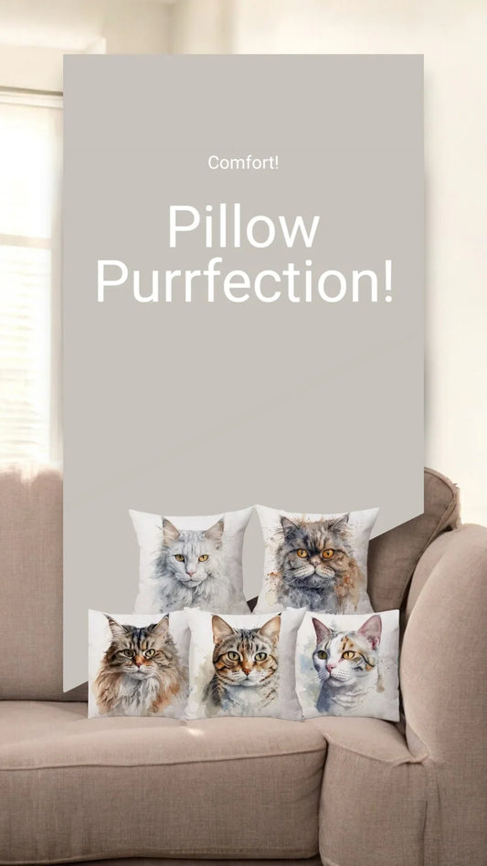 Cushion Cover Cat Kitty Range