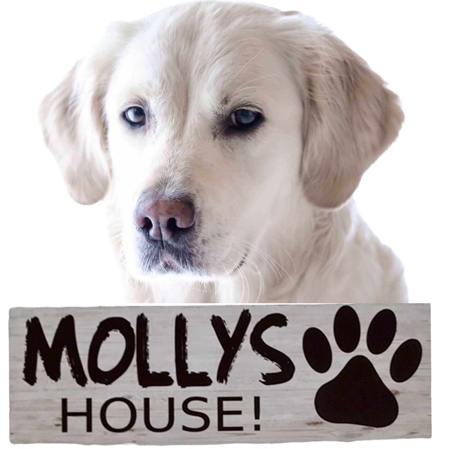 Dog Kennel House Custom Personalised Pets Name Sign