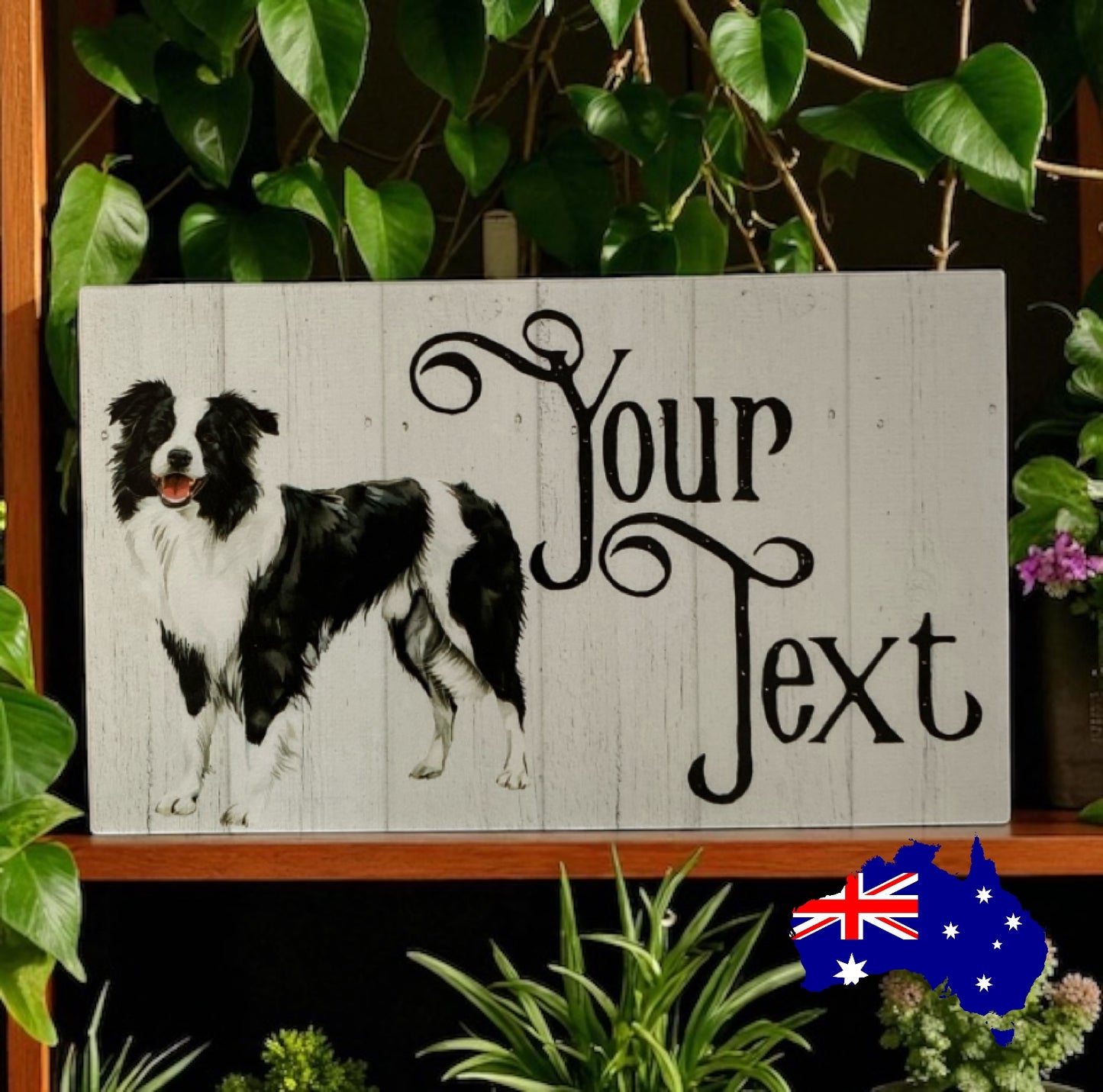 Border Collie Dog Personalised Custom Sign