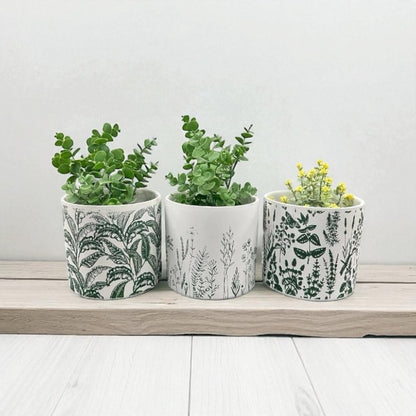 Planter Pot Natural Leaf Set of 3