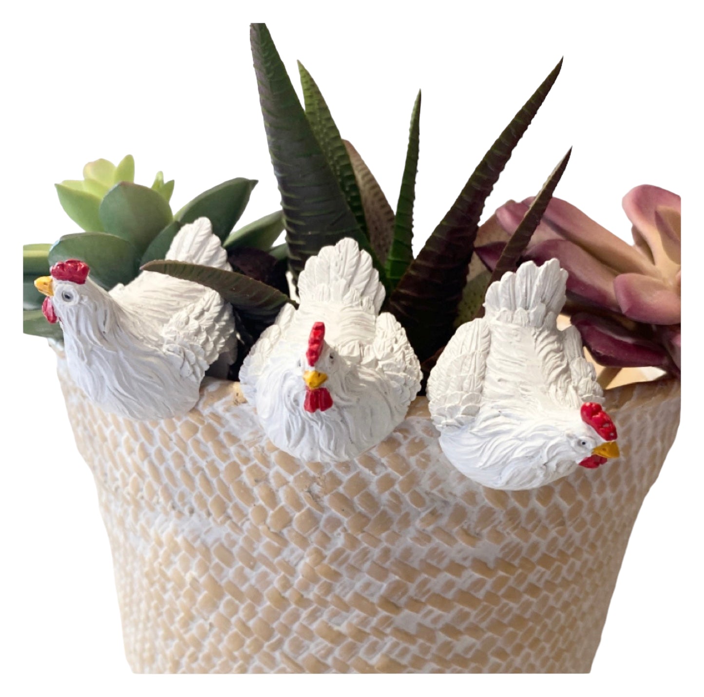 Chicken Hen Pot Sitter Hanger Planter Set of 3 White - The Renmy Store Homewares & Gifts 