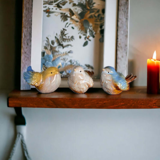 Bird Birds Natural Beauty Set Of 3 - The Renmy Store Homewares & Gifts 