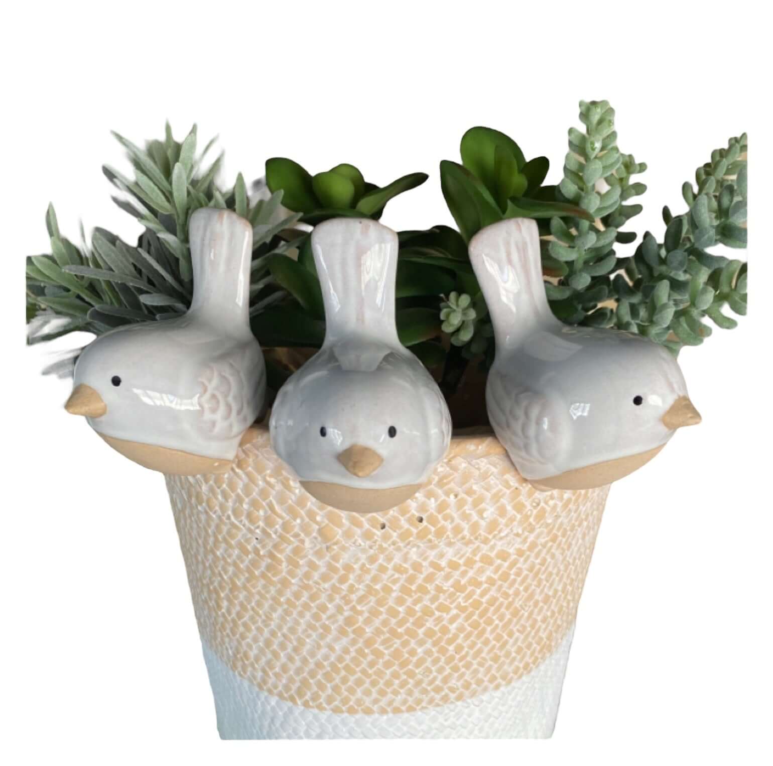 Bird Pot Sitter Hanger Planter x 3 French White - The Renmy Store Homewares & Gifts 