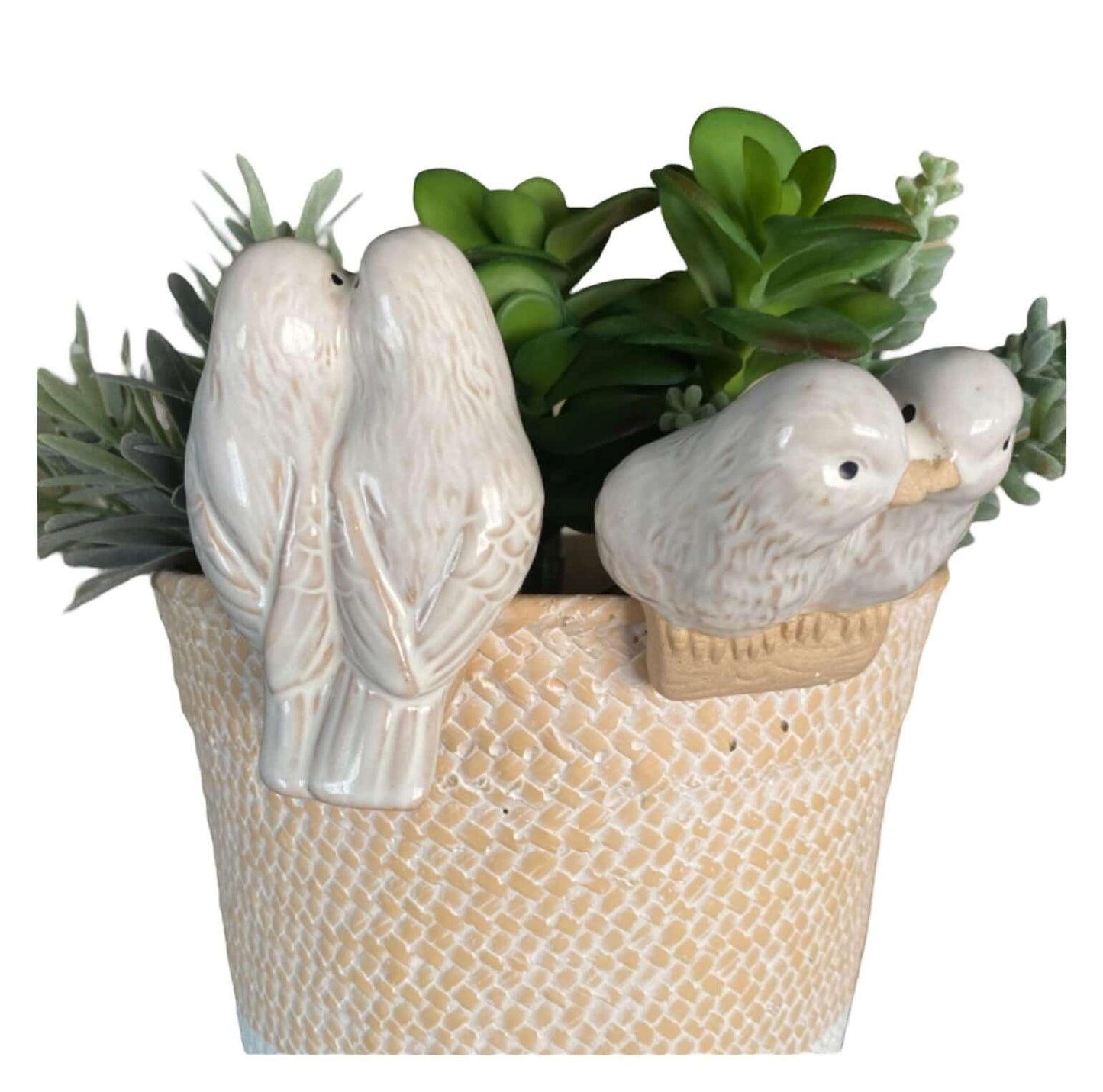 Bird Pot Sitter Hanger Planter x 2 French Love - The Renmy Store Homewares & Gifts 