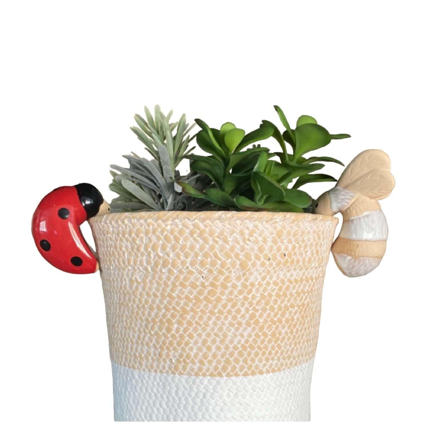 Bee and Ladybeetle Pot Sitter Hanger Planter - The Renmy Store Homewares & Gifts 