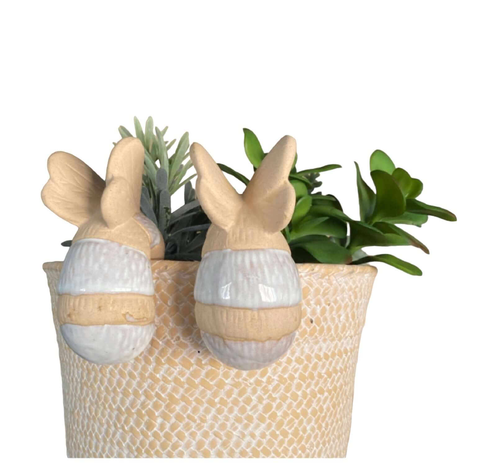 Bee Pot Sitter Hanger Planter x 2 - The Renmy Store Homewares & Gifts 