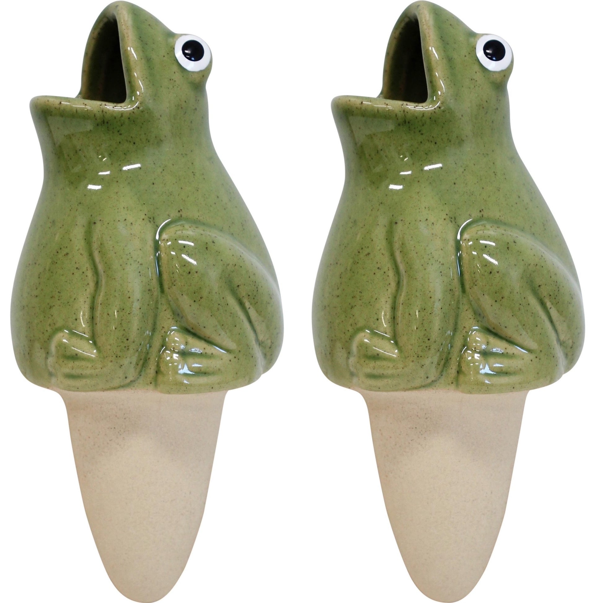 Water Spike Frog Set of 2 - The Renmy Store Homewares & Gifts 