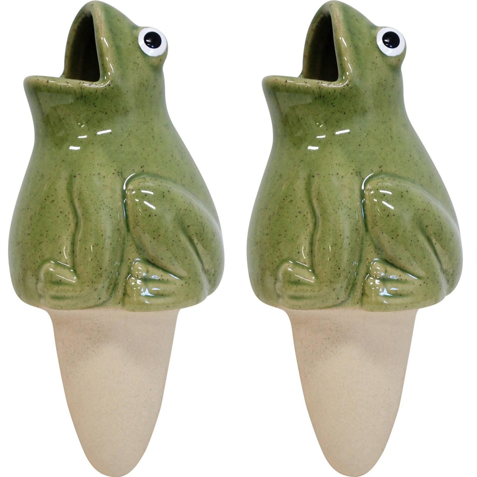 Water Spike Frog Set of 2 - The Renmy Store Homewares & Gifts 