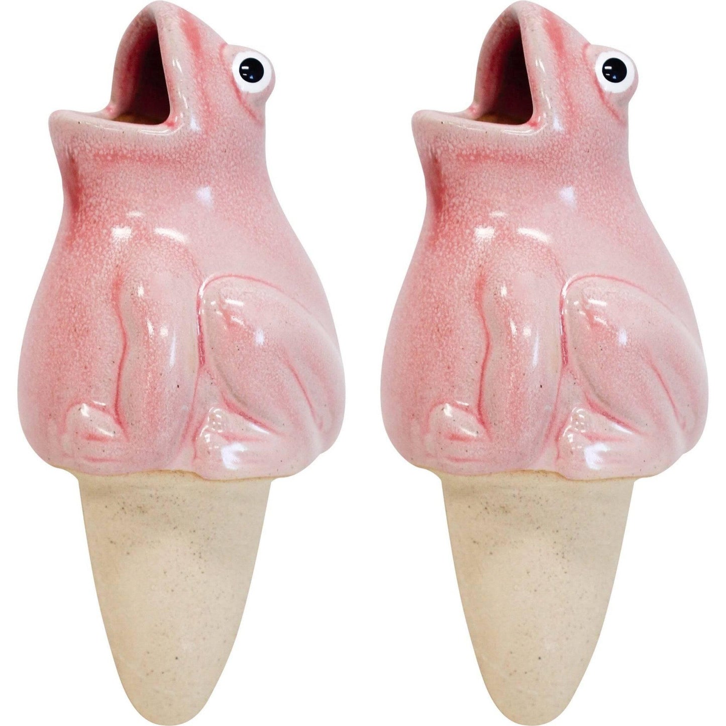 Water Spike Frog Pink Set of 2 - The Renmy Store Homewares & Gifts 