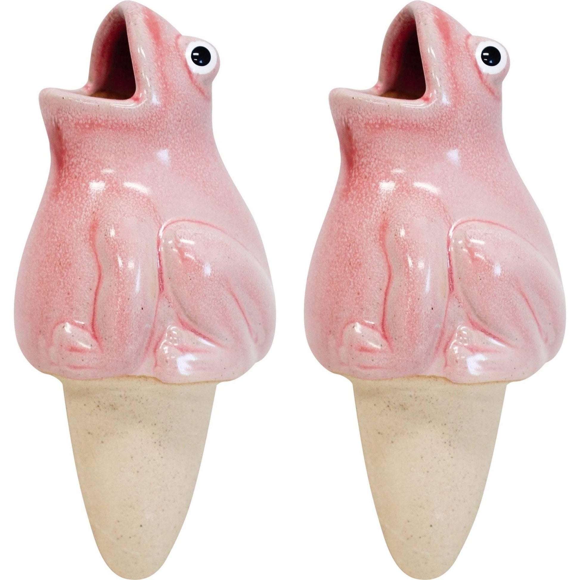 Water Spike Frog Pink Set of 2 - The Renmy Store Homewares & Gifts 