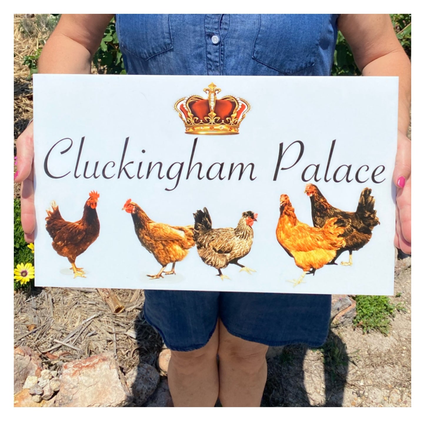 Cluckingham Palace Chicken Coop Sign
