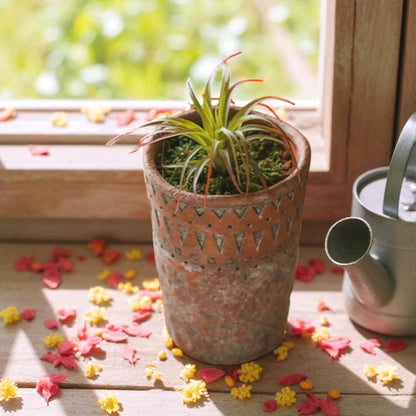 Terracotta Pot Planter Garden Vintage Earth Range