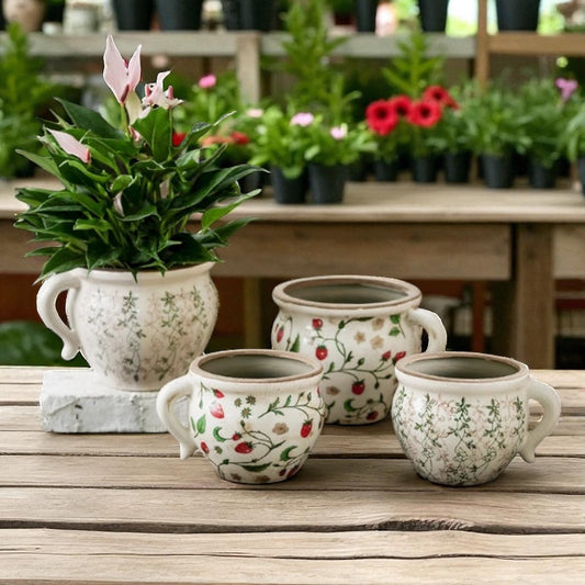 Planter Pot Vase Garden Strawberry Blue Floral Leaf