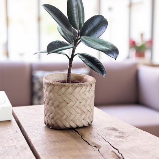 Pot Planter Rattan Look Concrete Natural Coastal