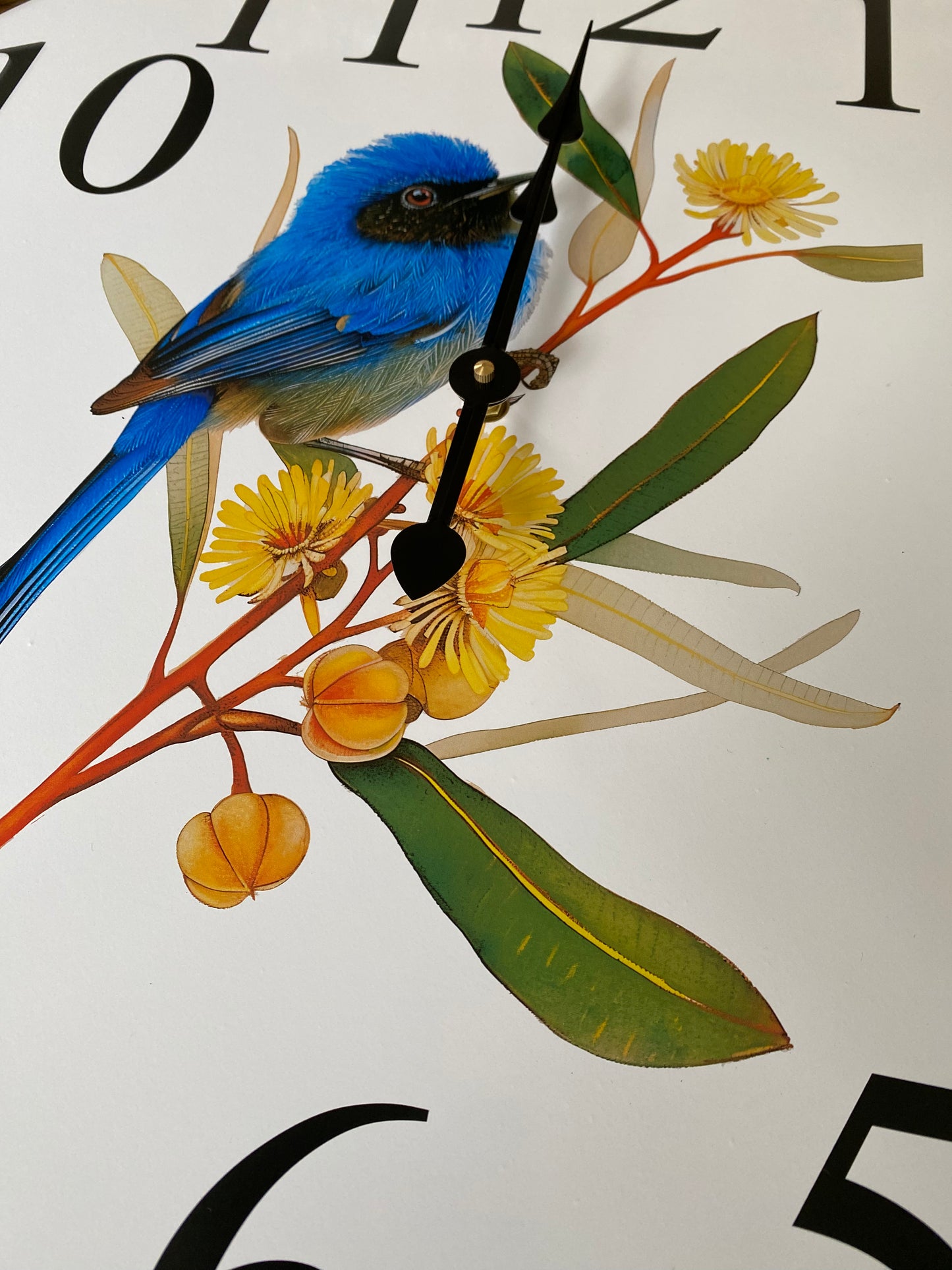 Clock Wall Blue Wren Superb Fairy-Wren Aussie Made | 30cm & 60cm Silent Wall Clock