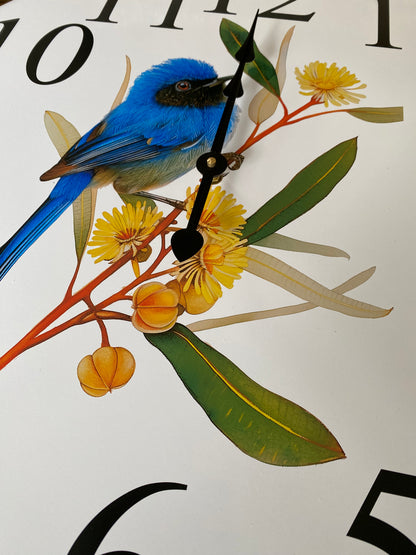 Clock Wall Blue Wren Superb Fairy-Wren Aussie Made | 30cm & 60cm Silent Wall Clock