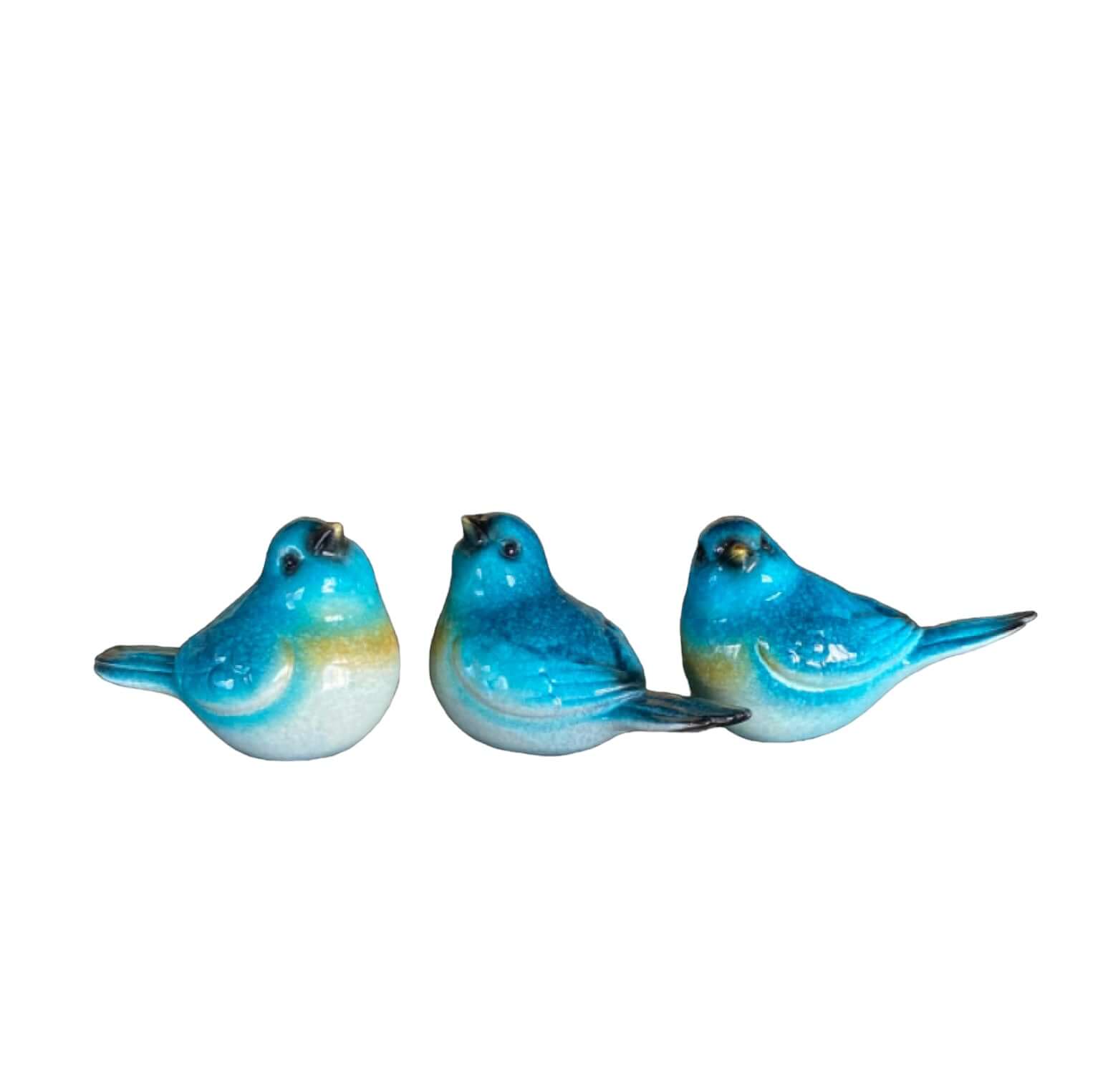 Bird Birds Blue Fairy Wren Set Of 3 - The Renmy Store Homewares & Gifts 
