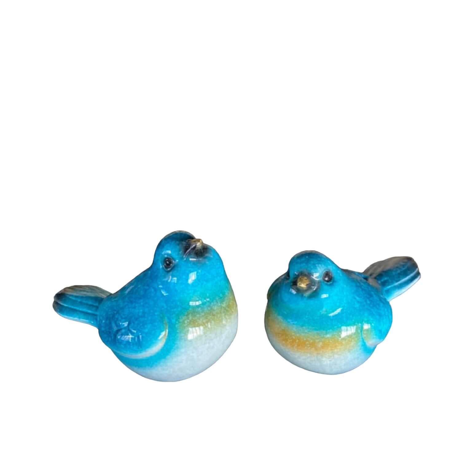Bird Birds Blue Fairy Wren Set Of 2 - The Renmy Store Homewares & Gifts 
