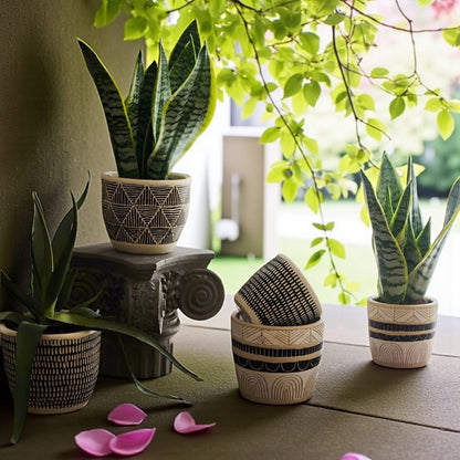 Planter Pot Garden Succulent Cactus Plant Rustic Black