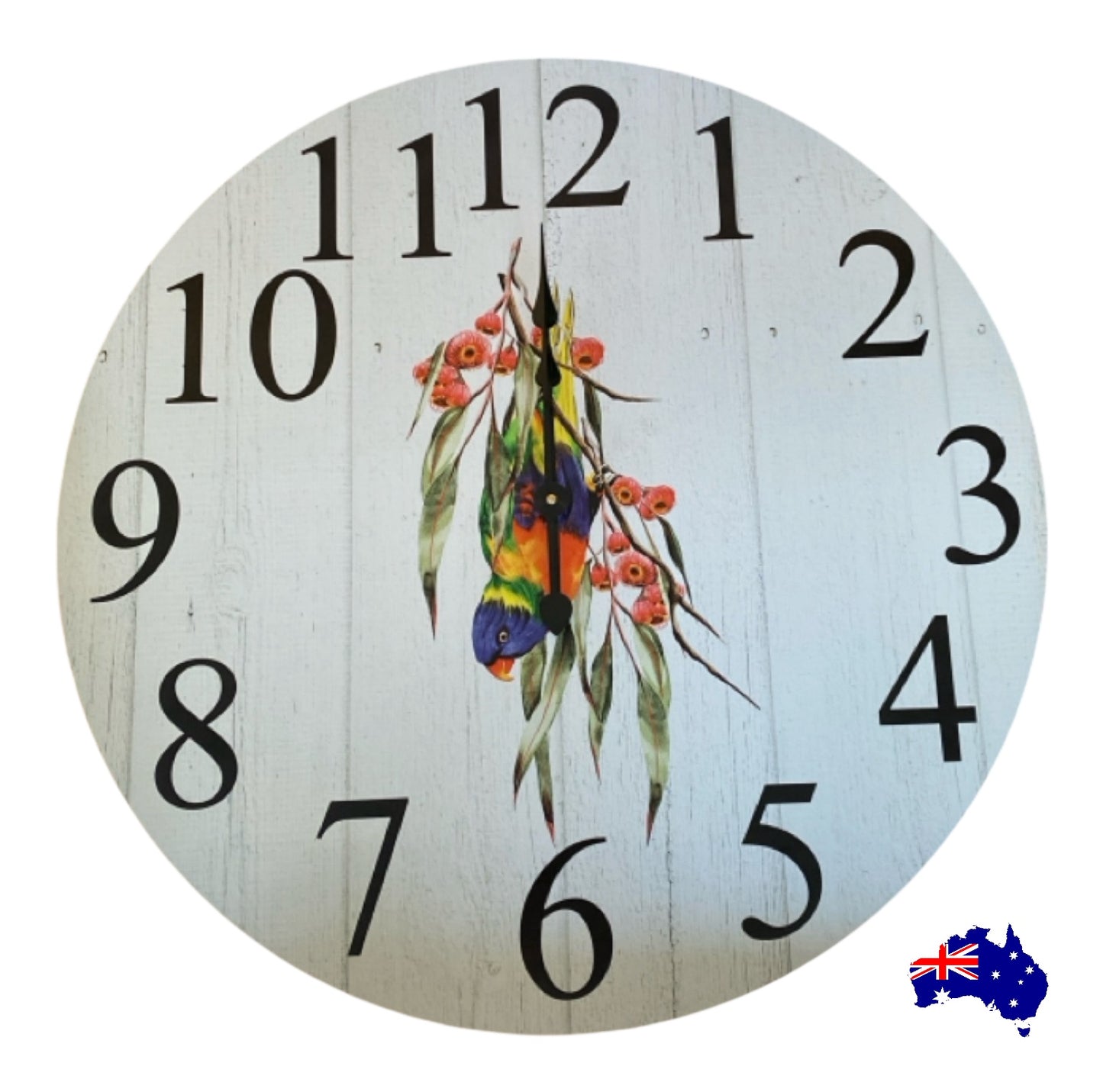 Clock Wall Lorikeet Lorie Bird Parrot 30cm 60cm Aussie Made