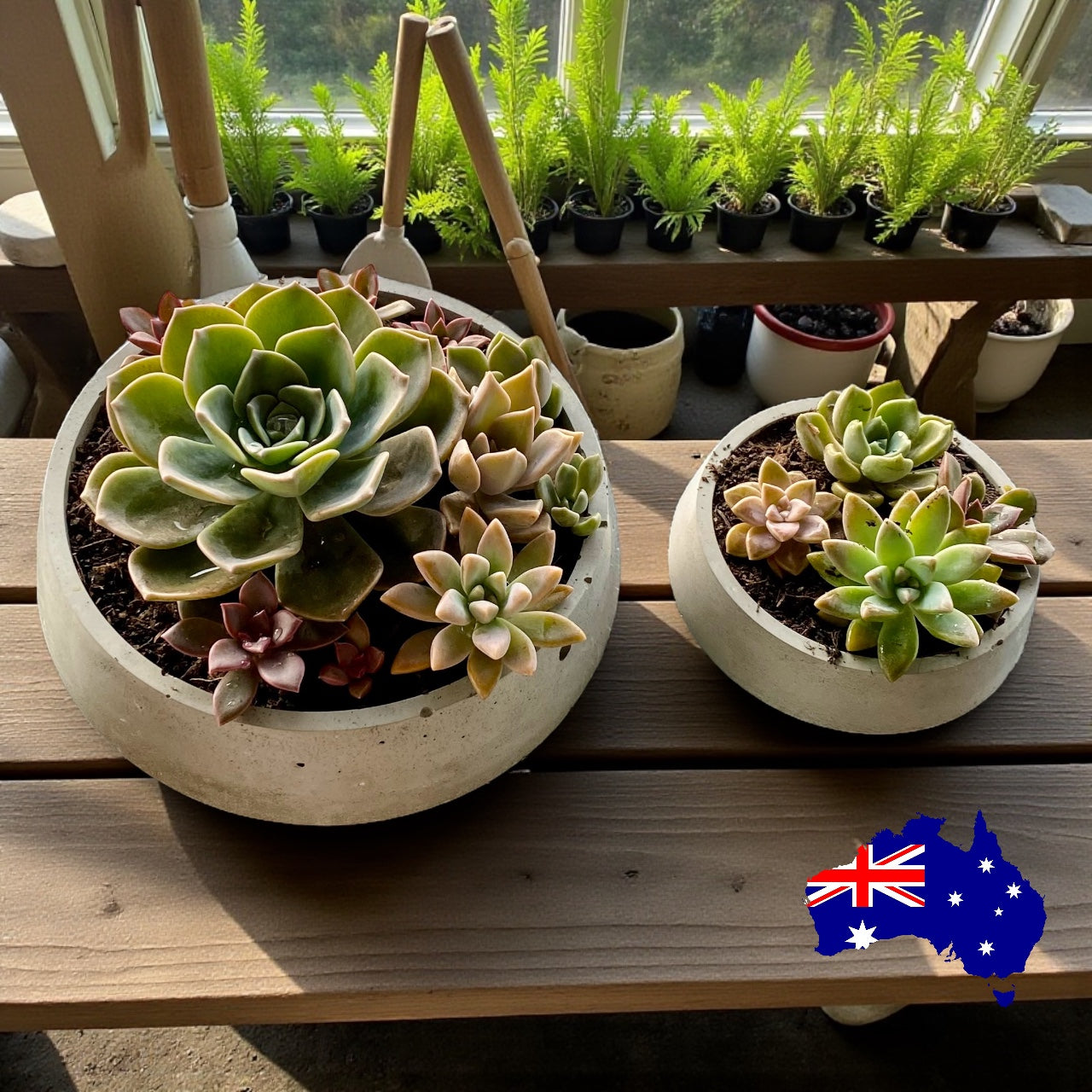 Planter Pot Dish Round Aussie Handmade Concrete