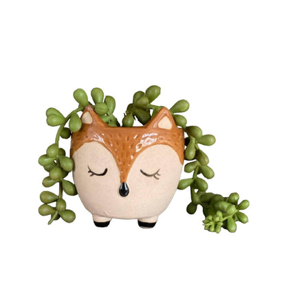 Plant Pot Planter Fox Foxy Love - The Renmy Store Homewares & Gifts 