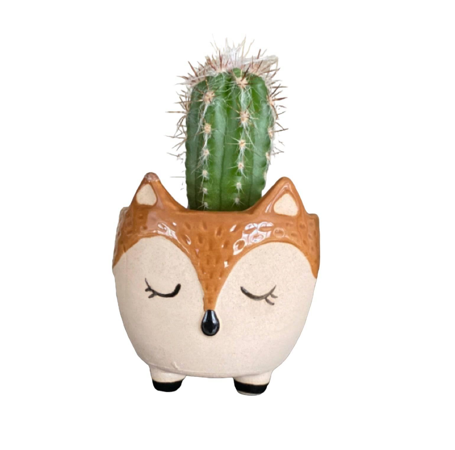 Plant Pot Planter Fox Foxy Love - The Renmy Store Homewares & Gifts 