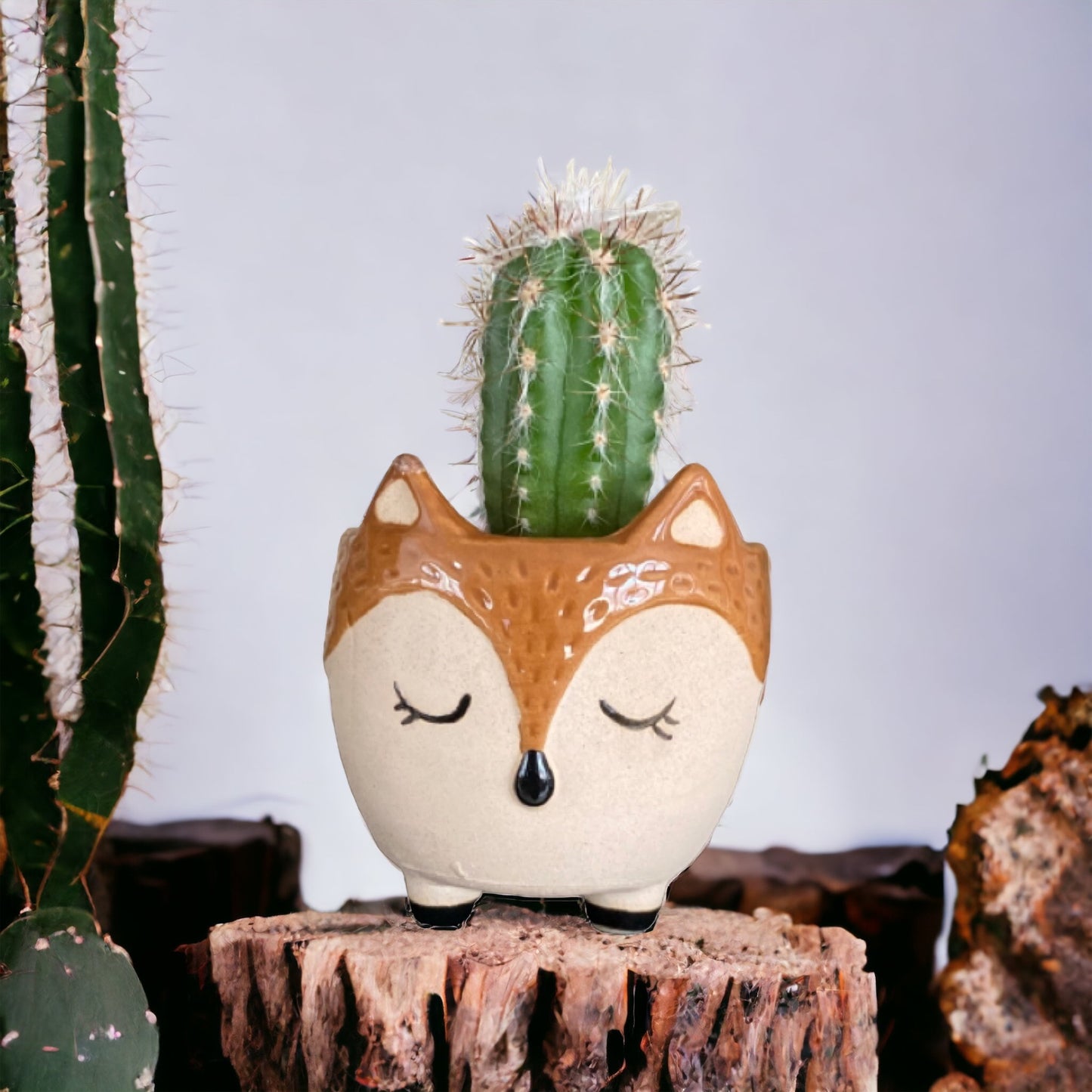 Plant Pot Planter Fox Foxy Love - The Renmy Store Homewares & Gifts 