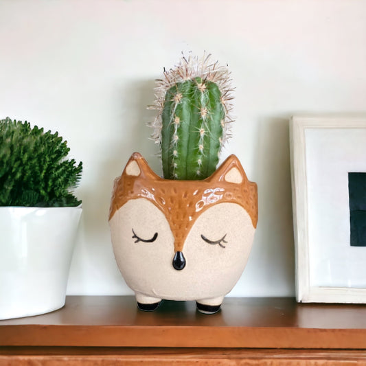 Plant Pot Planter Fox Foxy Love - The Renmy Store Homewares & Gifts 