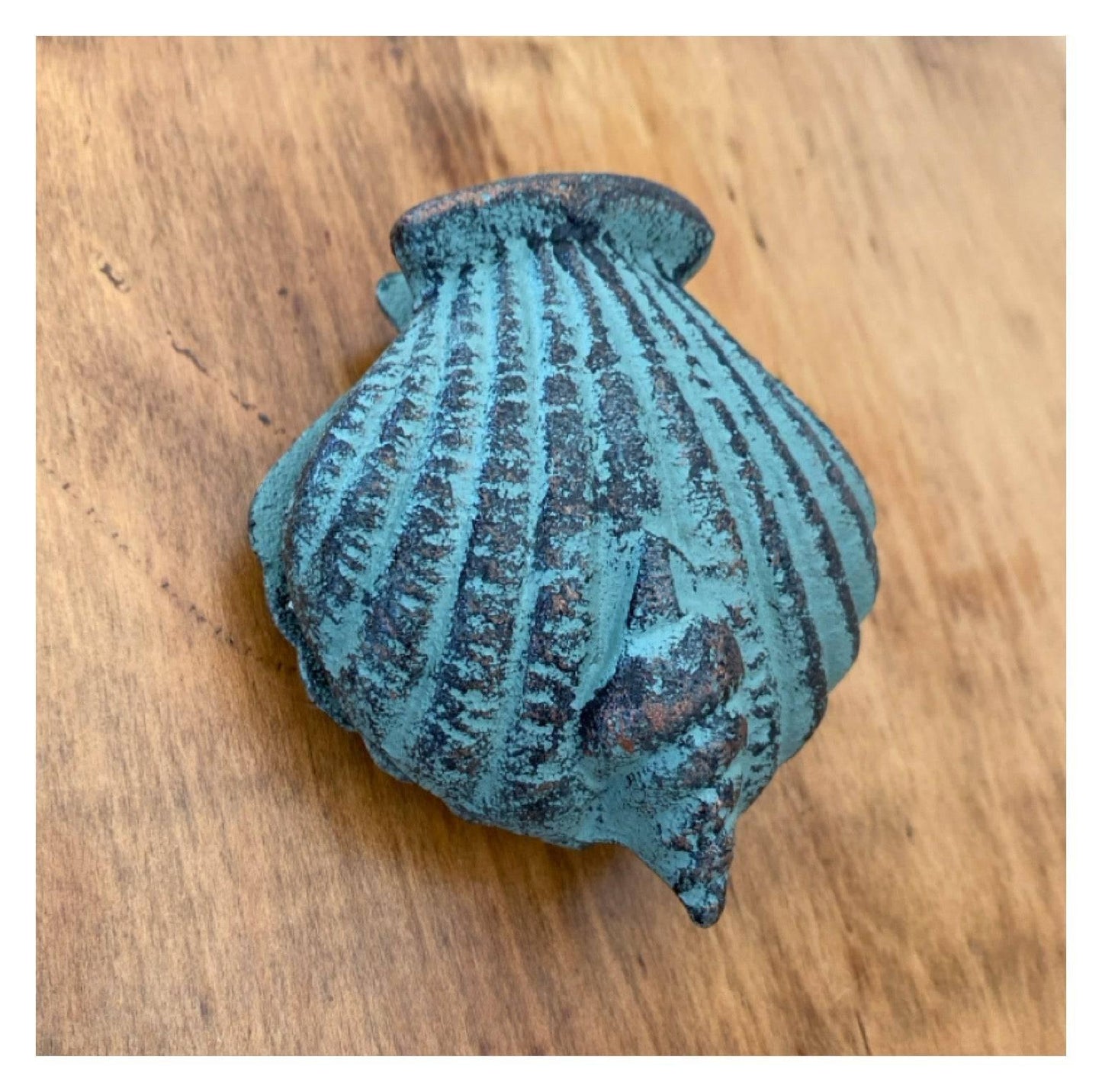 Door Knocker Shell Beach House - The Renmy Store Homewares & Gifts 