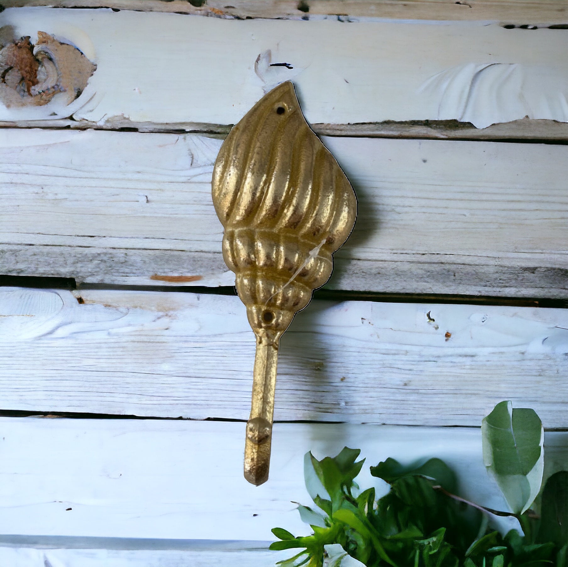 Hook Shell Gold Coastal Beach - The Renmy Store Homewares & Gifts 