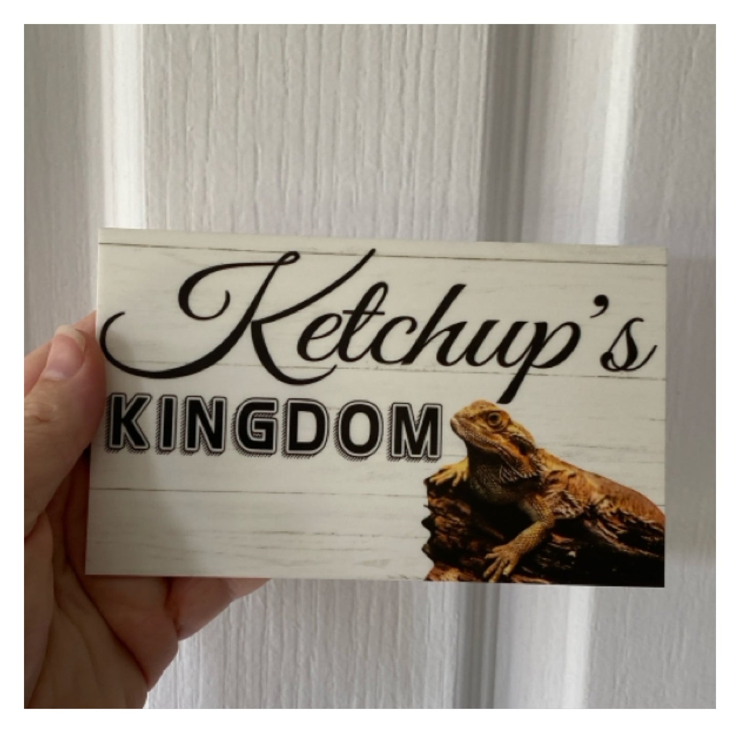 Bearded Dragon Lizard House Custom Personalised Sign