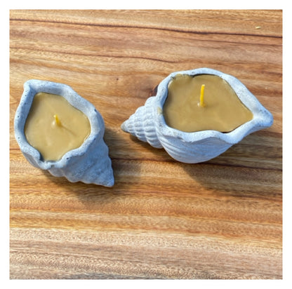 Pure Beeswax Shell Candle Set of 2 Coastal Aussie Handmade