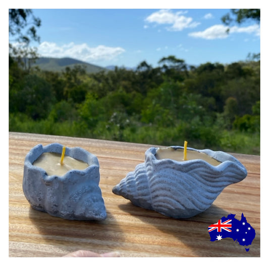Pure Beeswax Shell Candle Set of 2 Coastal Aussie Handmade