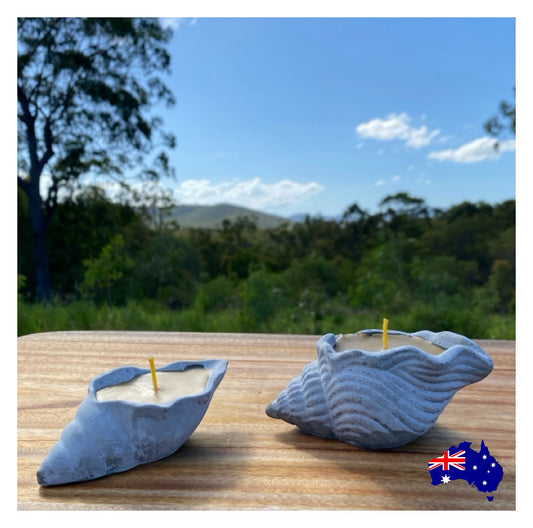Pure Beeswax Shell Candle Set of 2 Beach Aussie Handmade