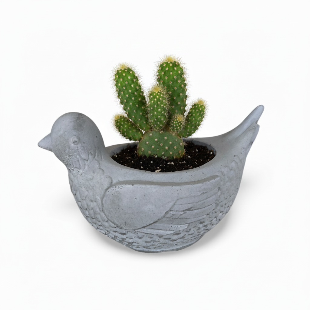 Concrete Pigeon Planter Pot | Handmade Australian Bird Succulent Pot