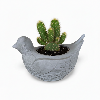 Concrete Pigeon Planter Pot | Handmade Australian Bird Succulent Pot