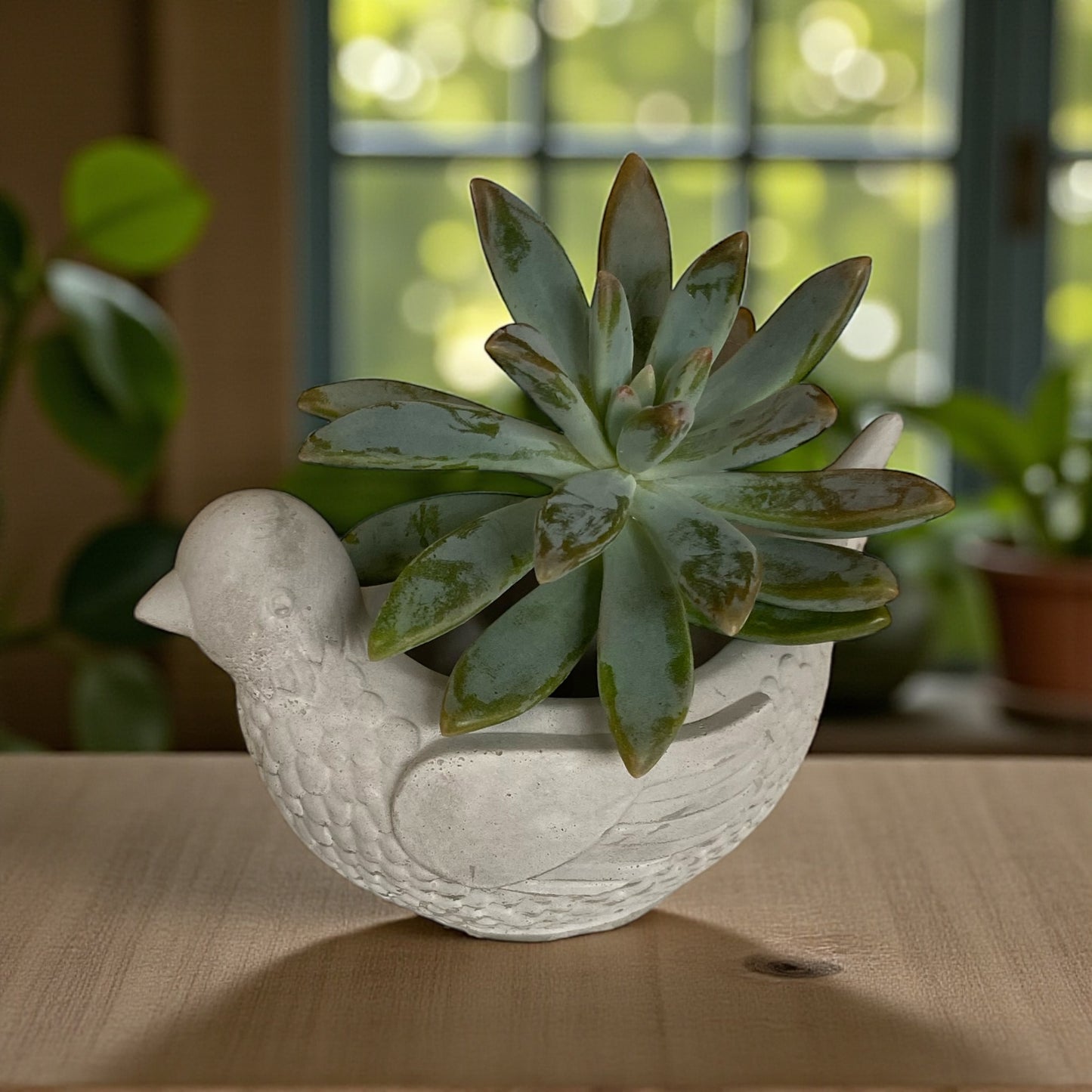 Planter Pot Pigeon Bird Aussie Handmade Concrete