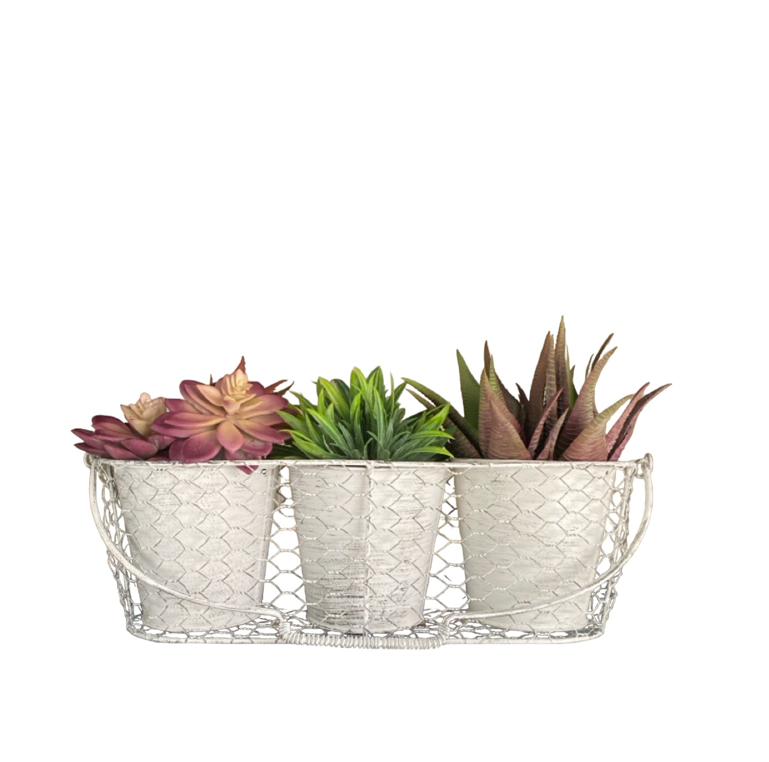 Three Pot Planter Herbs French White - The Renmy Store Homewares & Gifts 