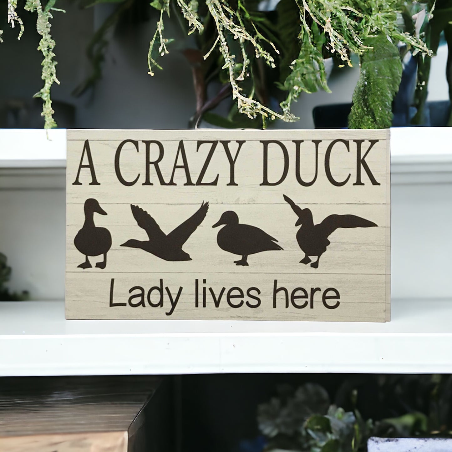 Crazy Duck Lady Lives Here Sign - The Renmy Store Homewares & Gifts 