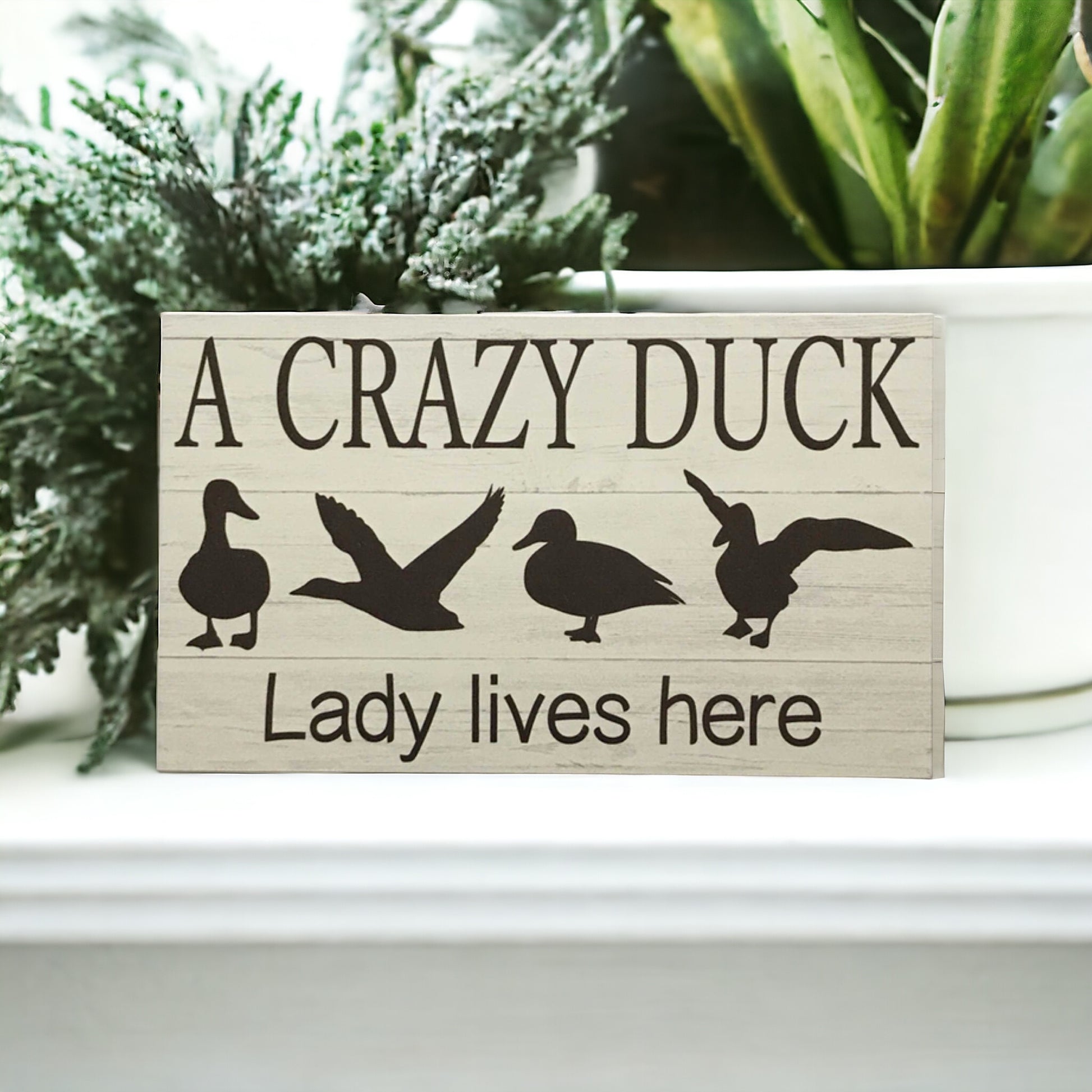 Crazy Duck Lady Lives Here Sign - The Renmy Store Homewares & Gifts 