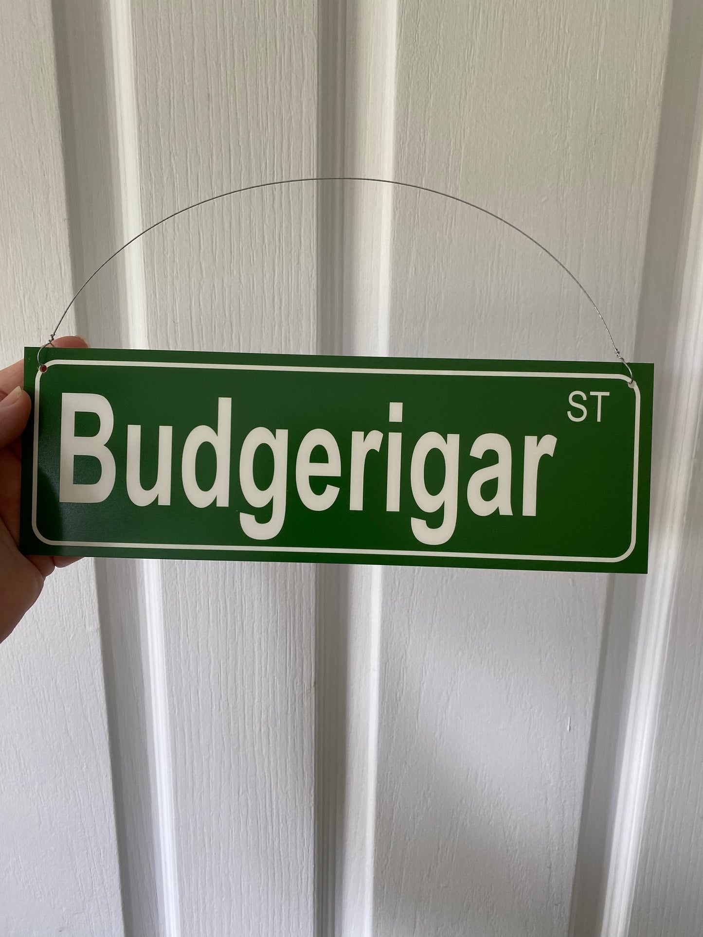 Street Green Custom Personalised Sign