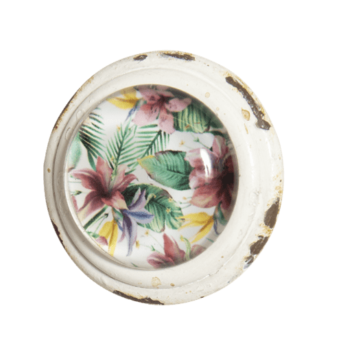 Knob Draw Pull Set x2 Tropical Paradise - The Renmy Store Homewares & Gifts 