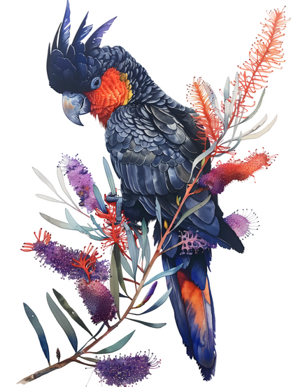 Custom Black Cockatoo Sign or Sticker | Personalised Australian Native Bird | Large Format Acrylic | Aussie Made