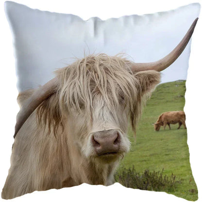 Cushion Cover Highland Cow Range - Multiple Sizes Available