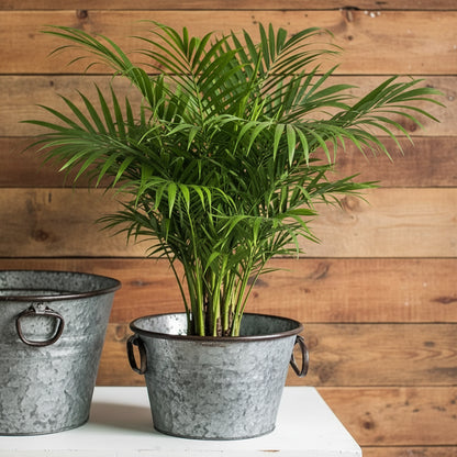 Vintage Round Metal Planter Pot & Storage Tub | Iron Basket with Handles
