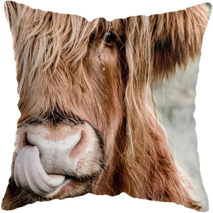 Cushion Cover Highland Cow Range - Multiple Sizes Available