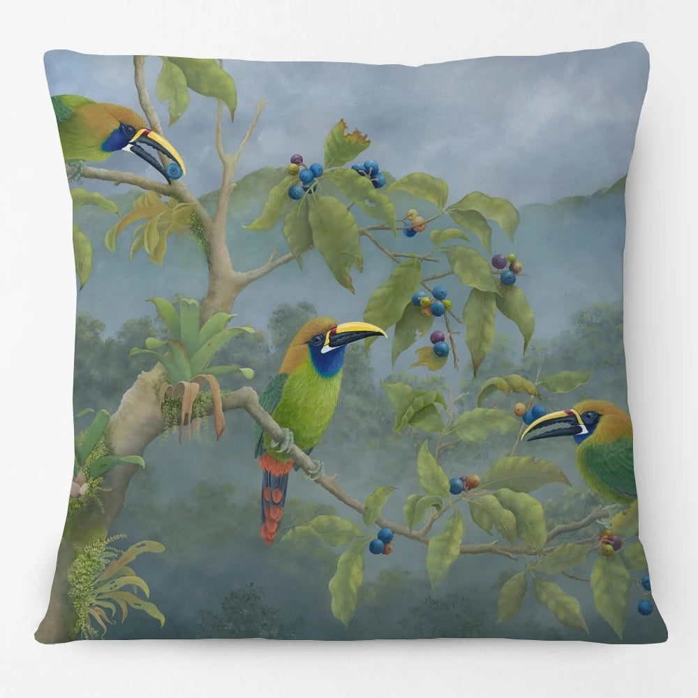 Australian Bird Art Cushion Covers | Lorikeet Kingfisher Toucan Seagull | Sofa Throw Pillow Cover