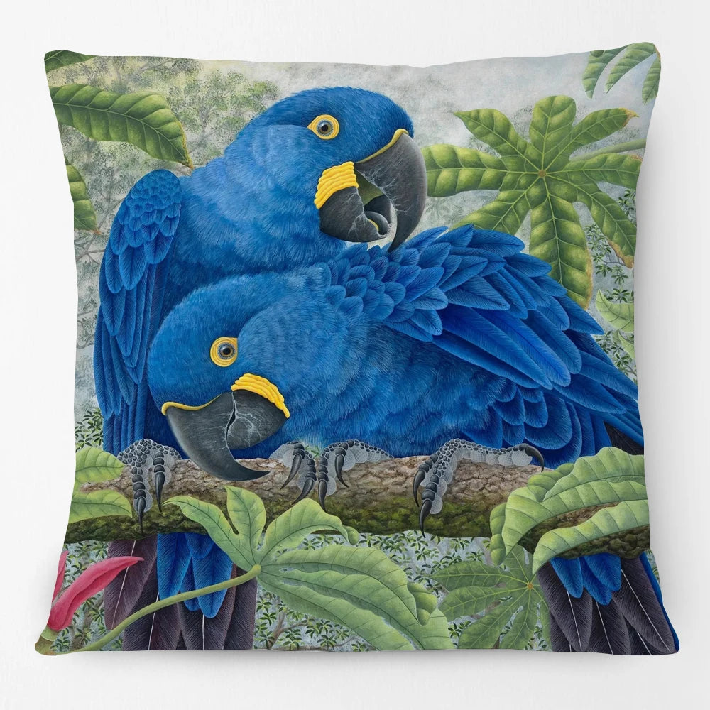 Australian Bird Art Cushion Covers | Lorikeet Kingfisher Toucan Seagull | Sofa Throw Pillow Cover