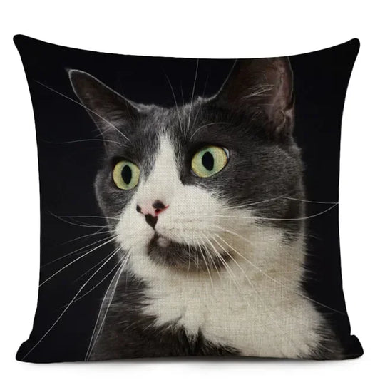 Cushion Cover Cat Black White Maisy